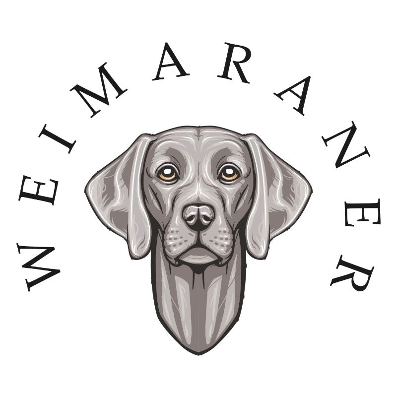 Weimaraner