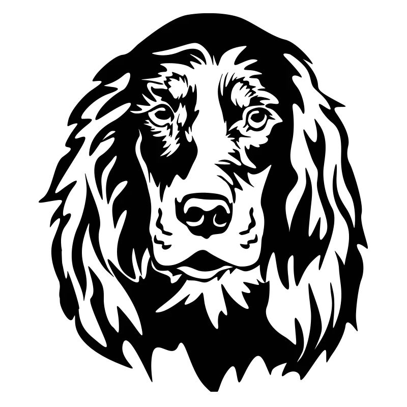 Gordon Setter Kopf