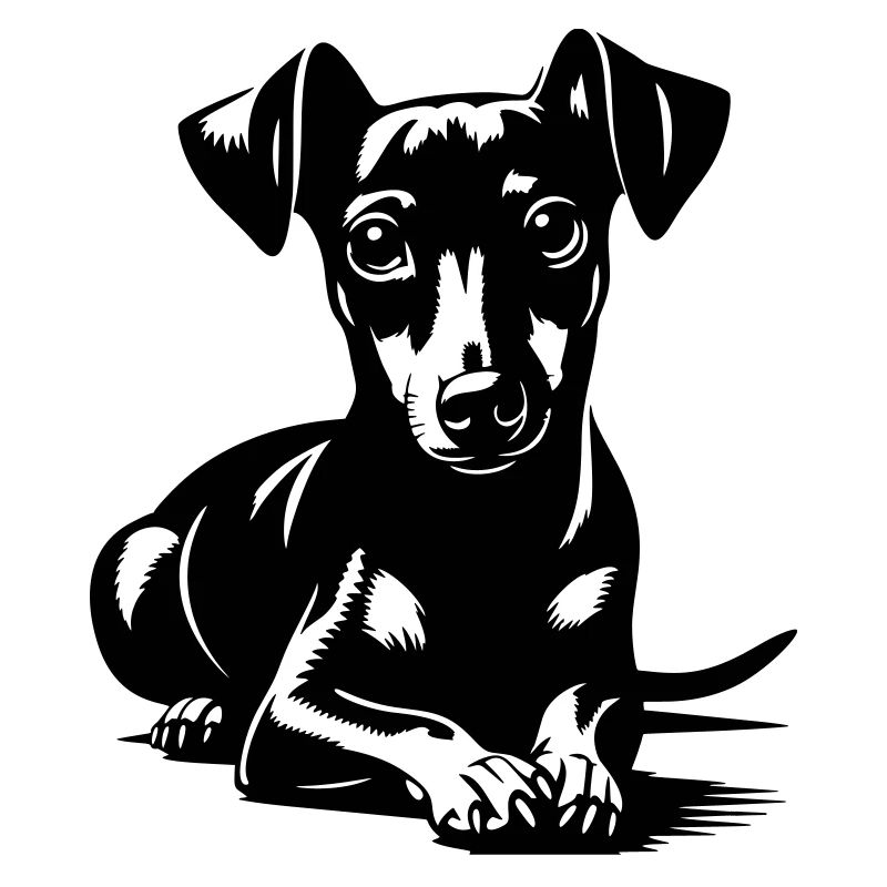 Zwergpinscher