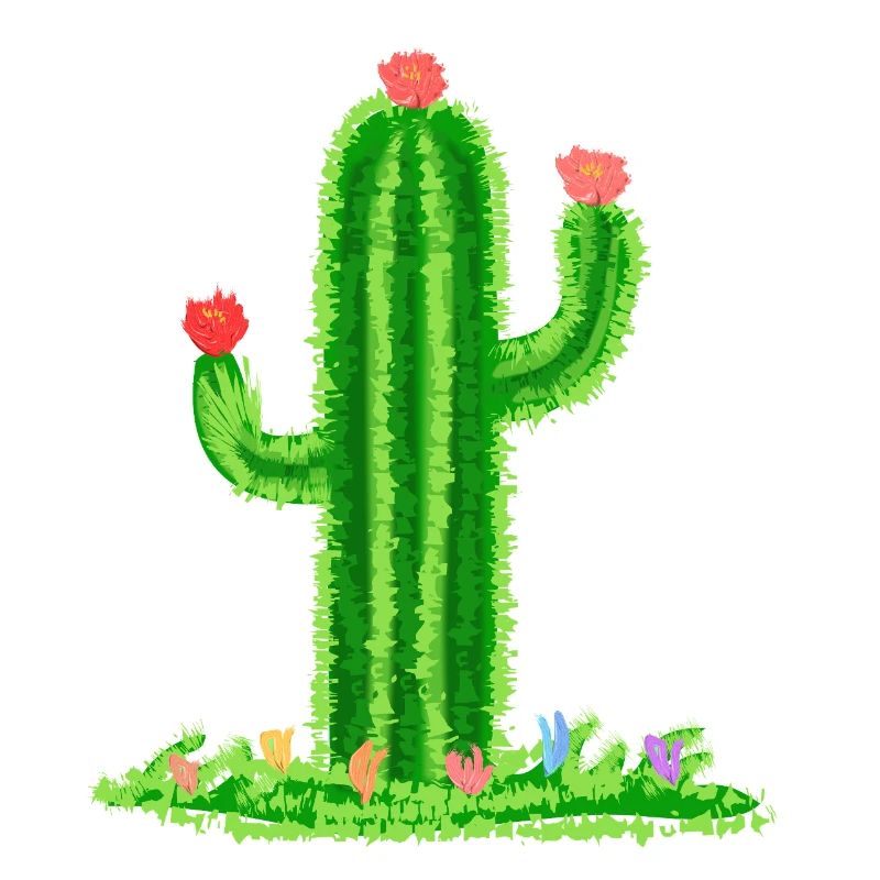 Cactus avec fleurs