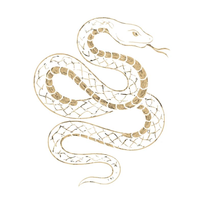 Golden Snake Net Pattern