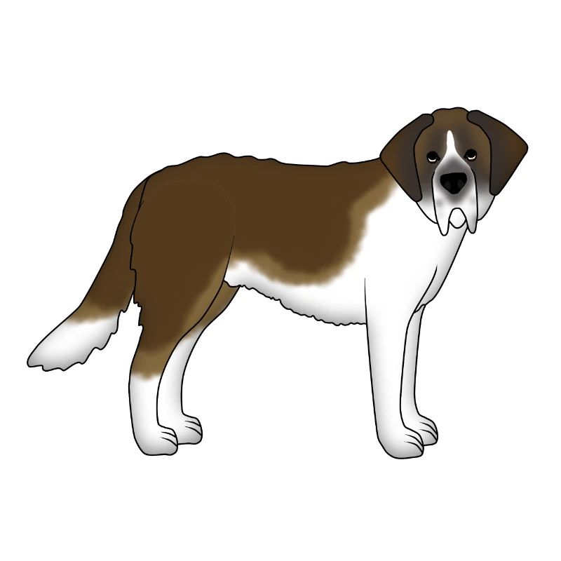 St. Bernard stands