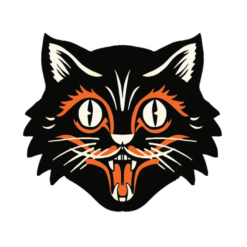 Chat noir