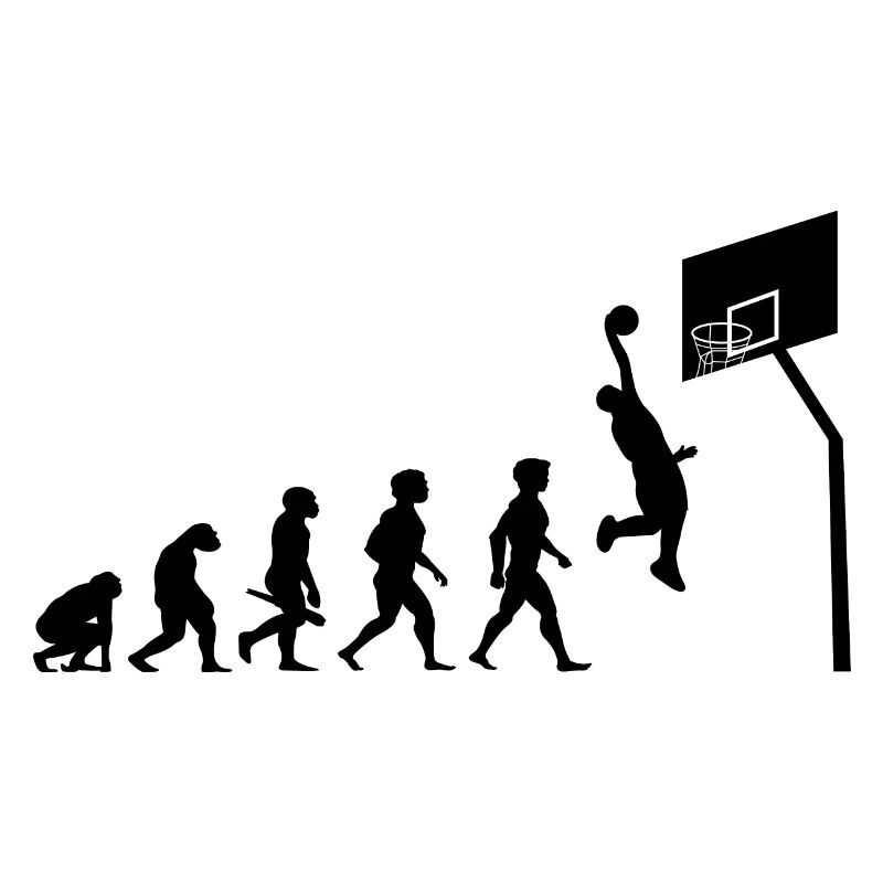Evolution basketball netball player sport