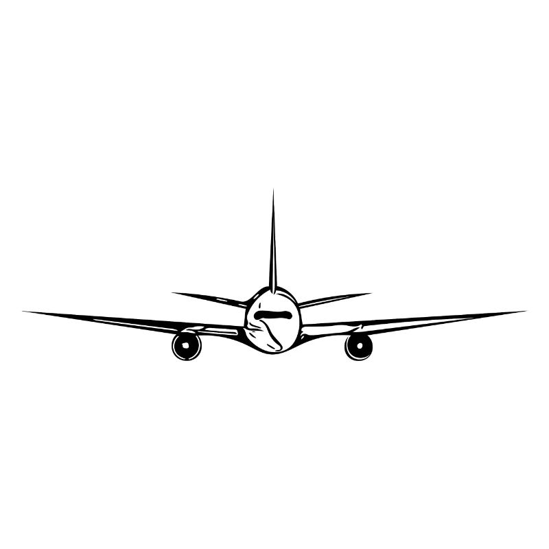 Flying Transport Pilot Flyer