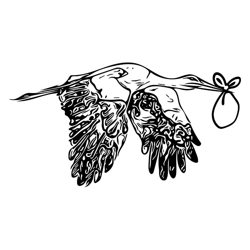 Flying Stork offspring Delivery