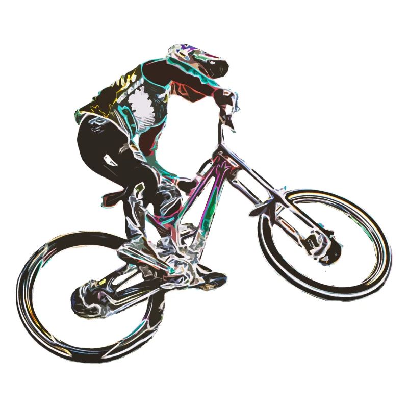 MTB downhill