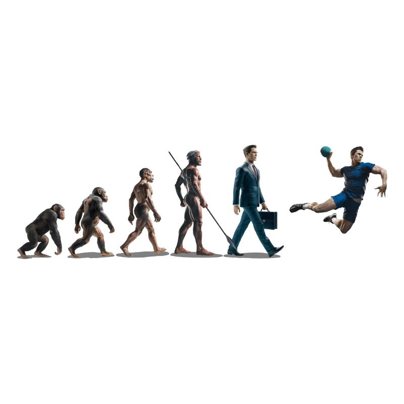 Evolution Handball 06 2024 Plan de travail 1