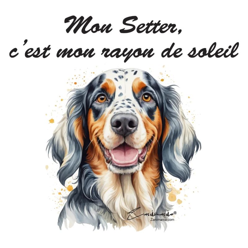 Setter rayon de soleil
