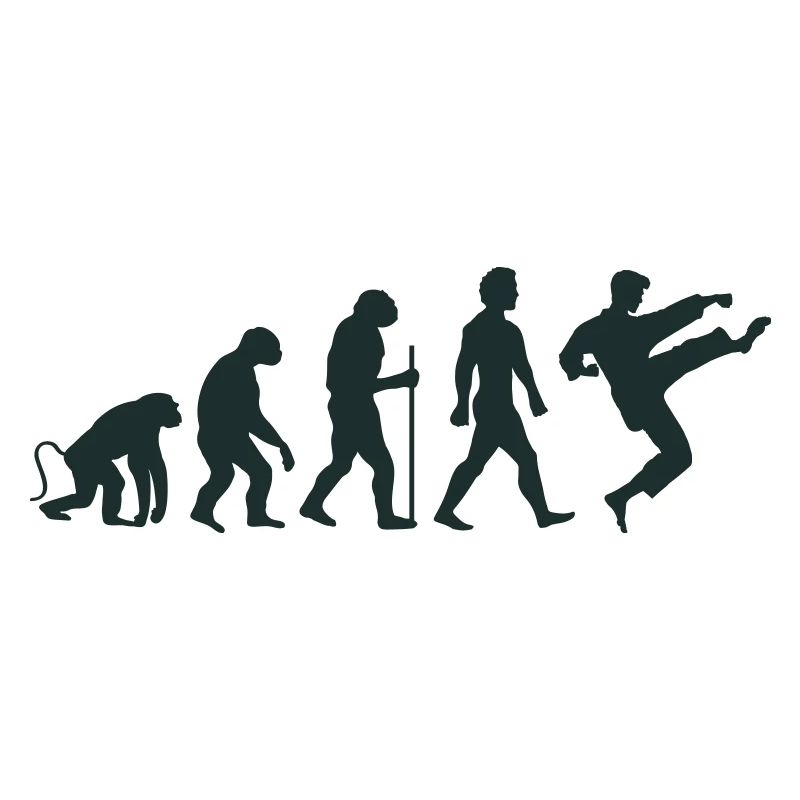 Karaté Évolution