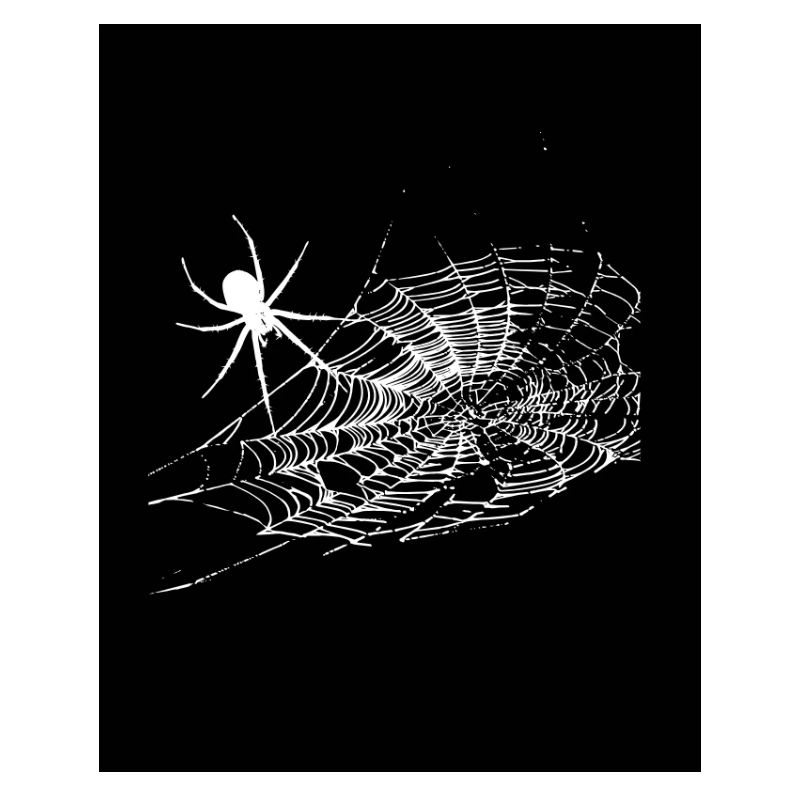 araignée