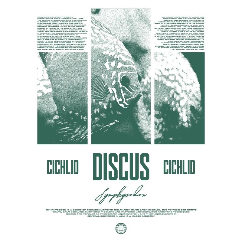Discus Cichlidé Aquarium Fish Keeper