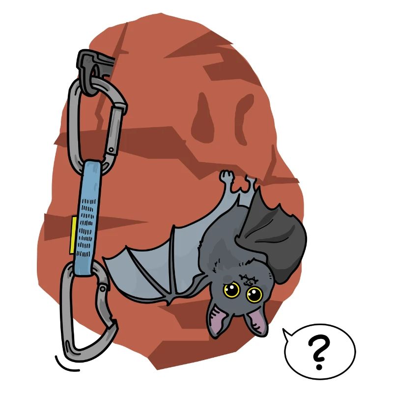 Climbing, Bat
