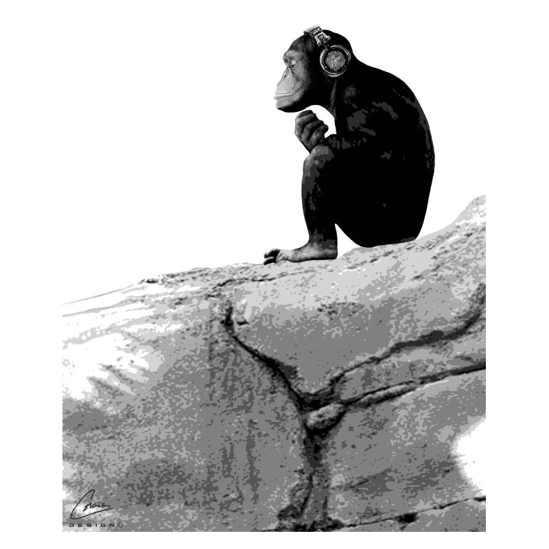 Music Monkey