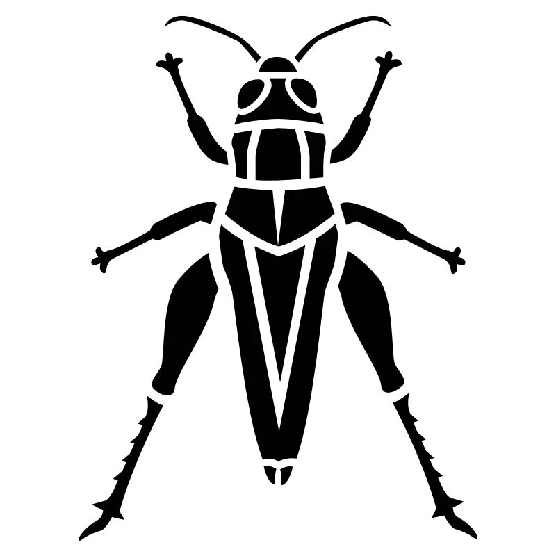 Insect - grasshopper