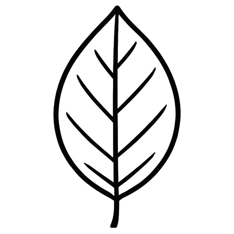 Conception minimaliste Leaf