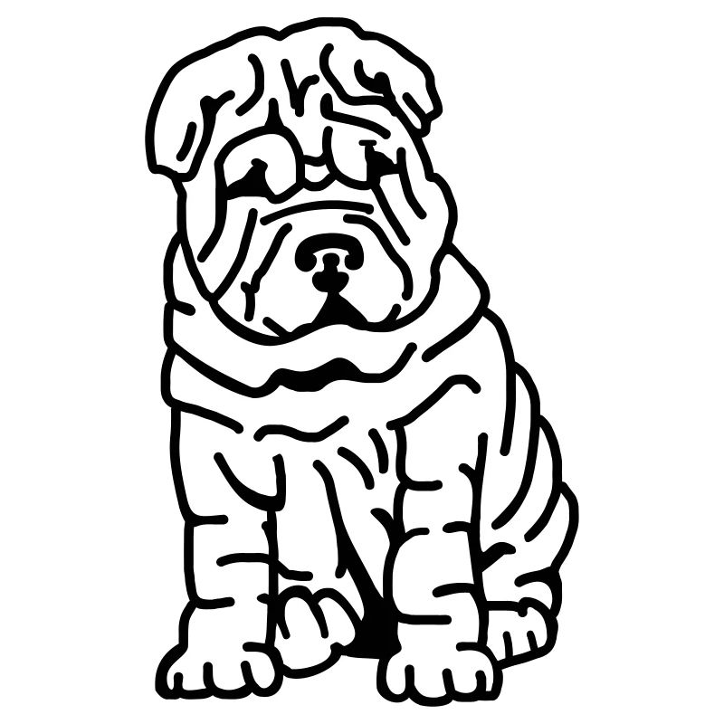 Shar Pei