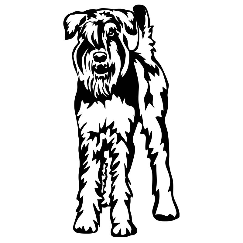 Schnauzer géant