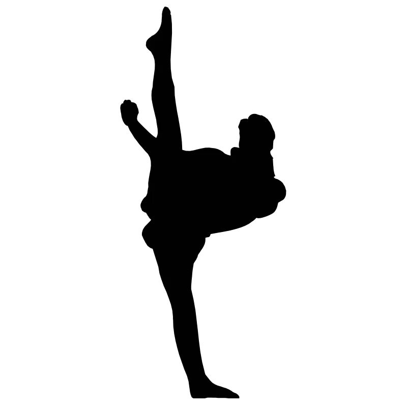 Karate oder Taekwondo High Kick