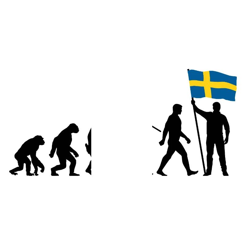 Suède - Evolution - Drapeau - Nation