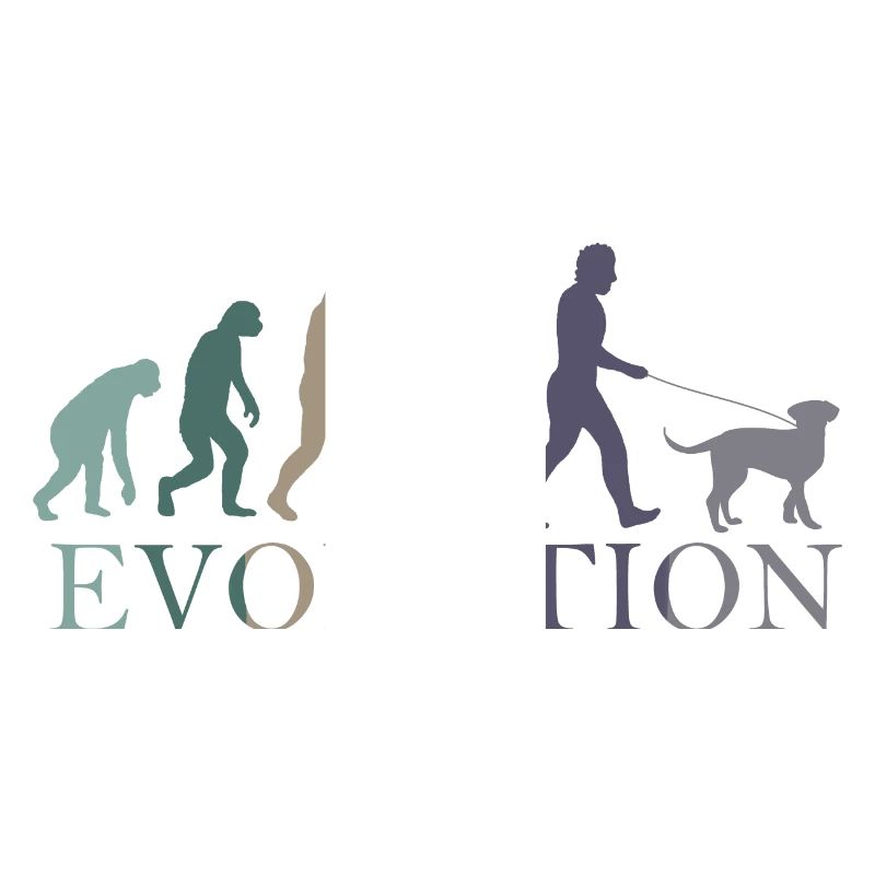 EVOLUTION DES HUNDES
