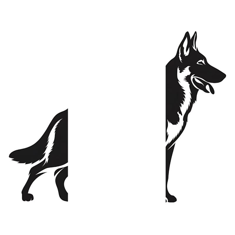 Belgian Malinois Shepherd Dog