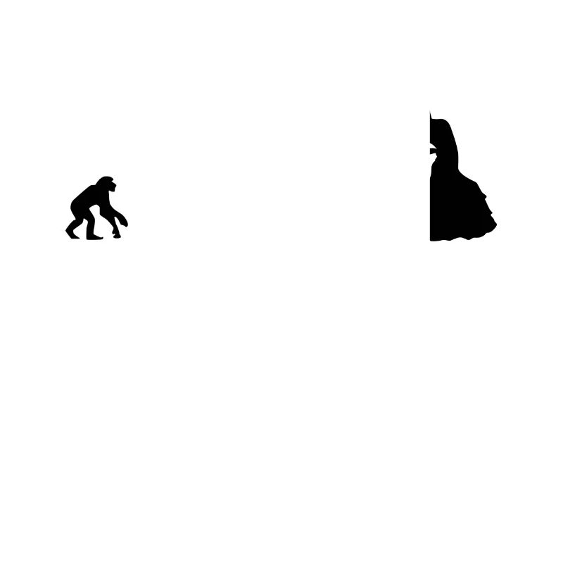 Flamenco Evolution / Danse flamenco / Robe