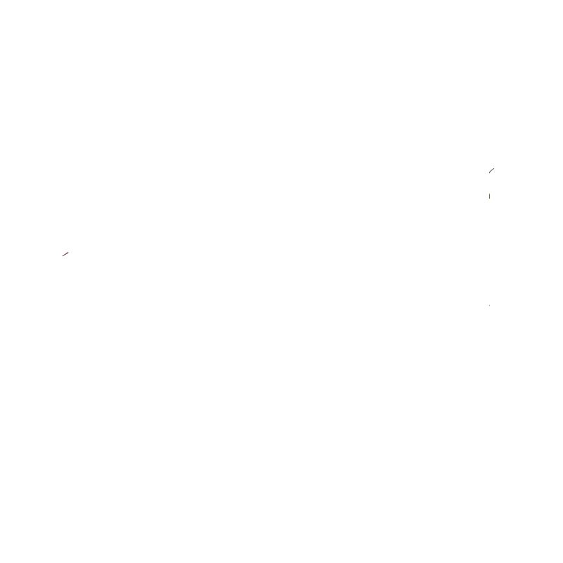 Powerful elegance with every step