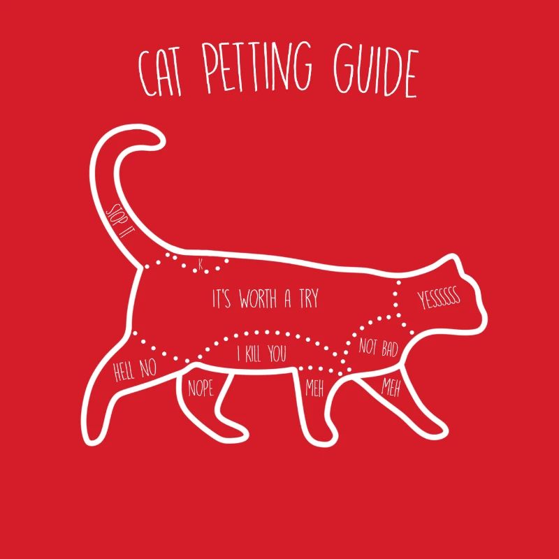 Cat Petting Guide