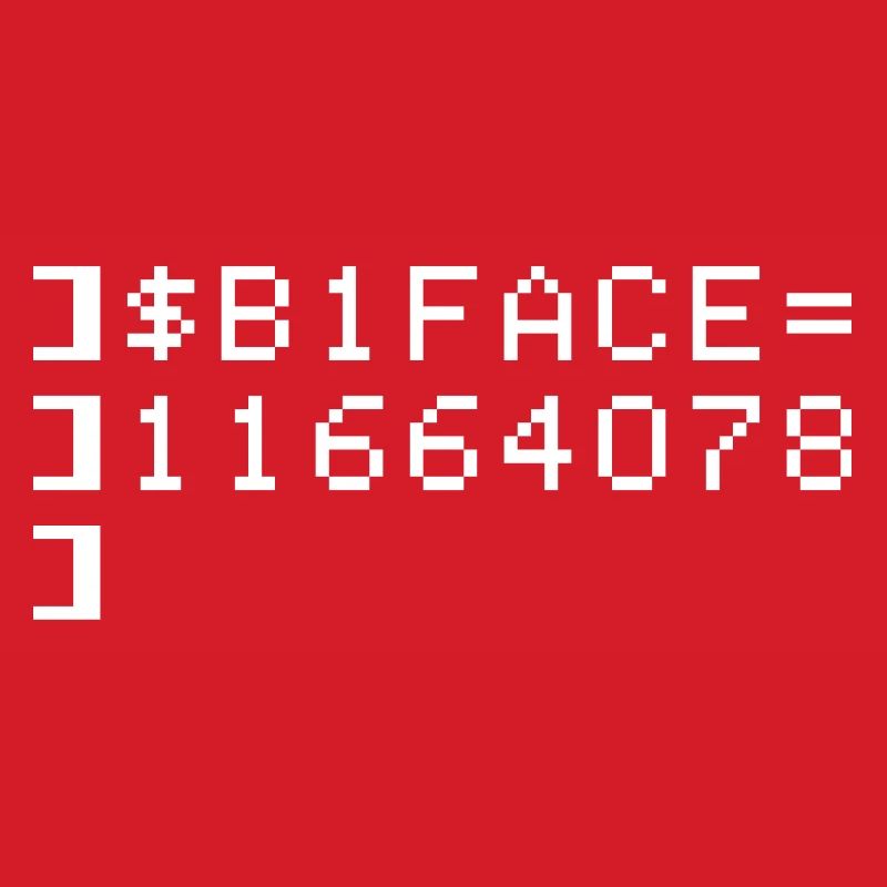 B1FACE Biface Code hexadécimal 8 bit Geek