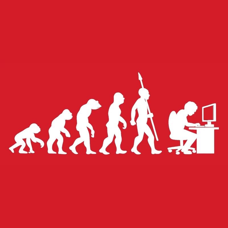 Informatique PC Evolution Programmeur Informatien