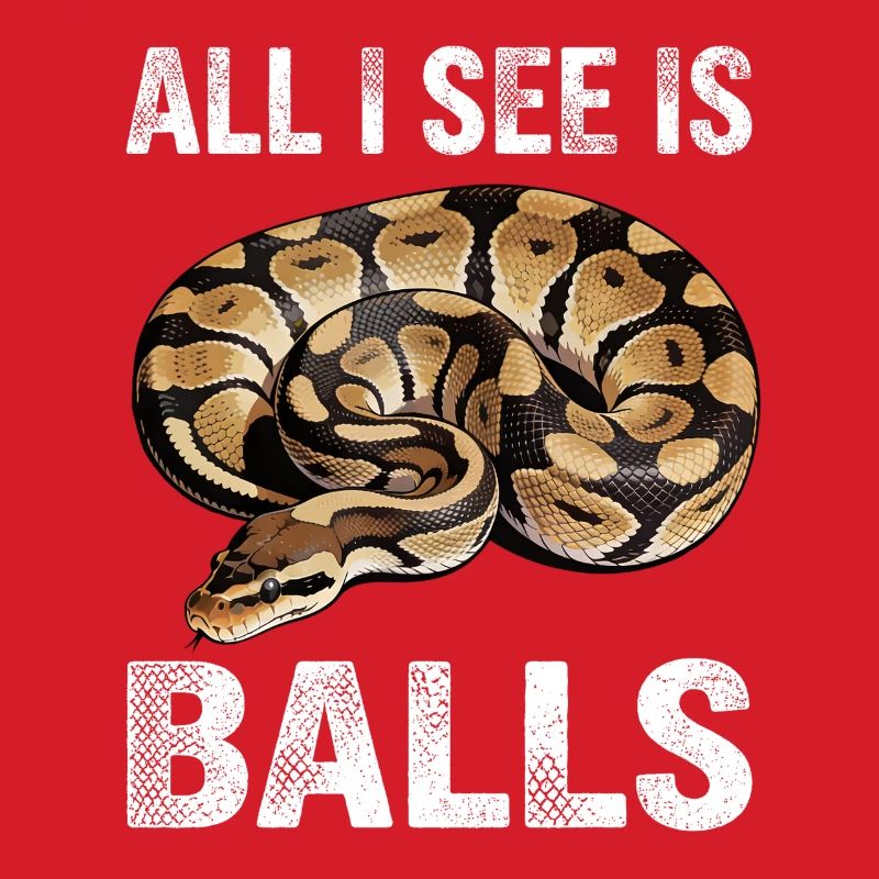 Python roi Serpents Amateurs de terrarium Python