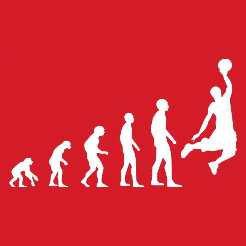Evolution du basket