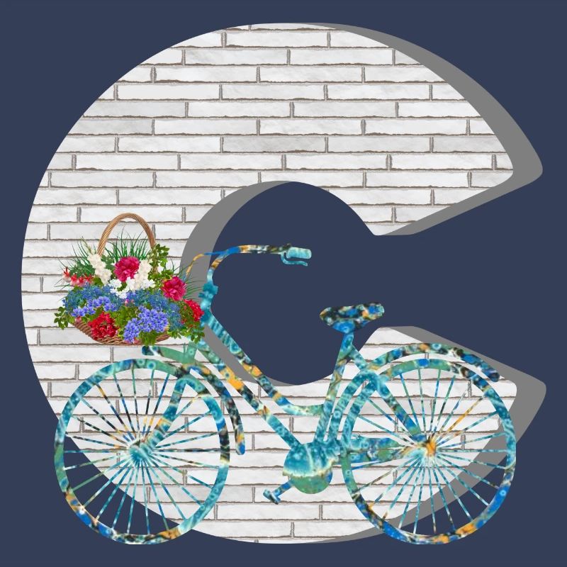 bicycle e 100 c