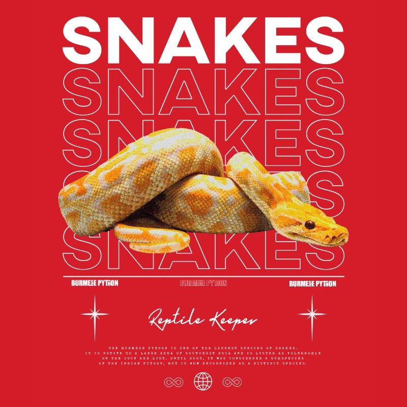 Python birman moderne streetwear Reptile gardien