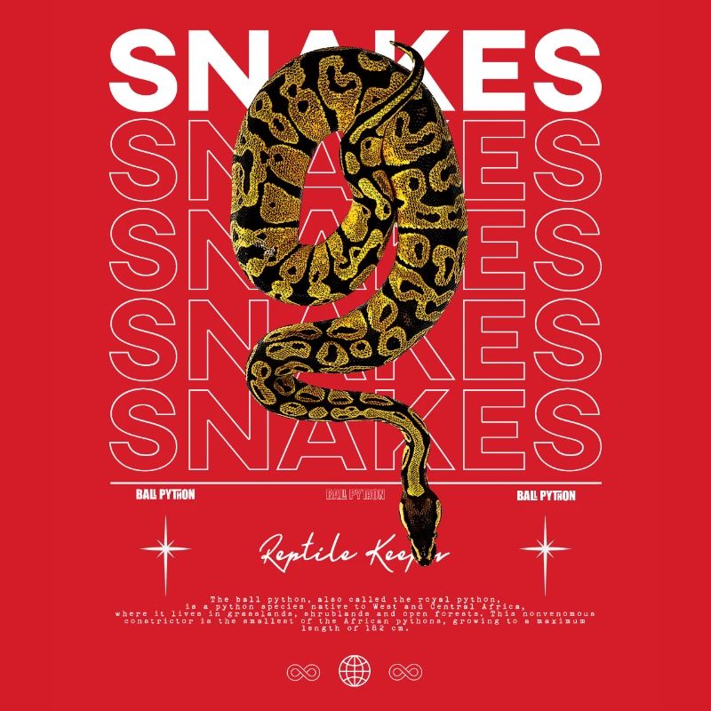 Ball Python moderne Streetwear Reptile Keeper