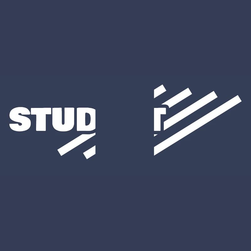 Student as a workplace
