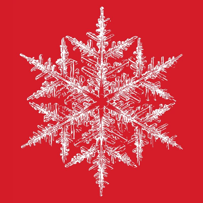 snowflake 5 white
