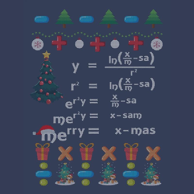 Mathematician gift christmas formula nerd