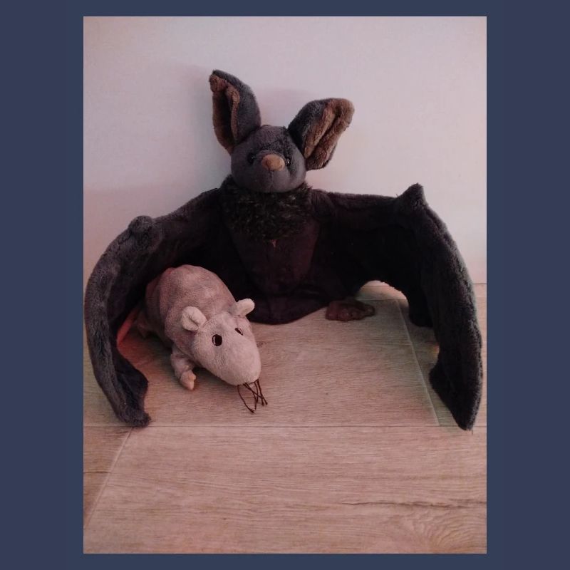 Night Wing Bat and Mouse