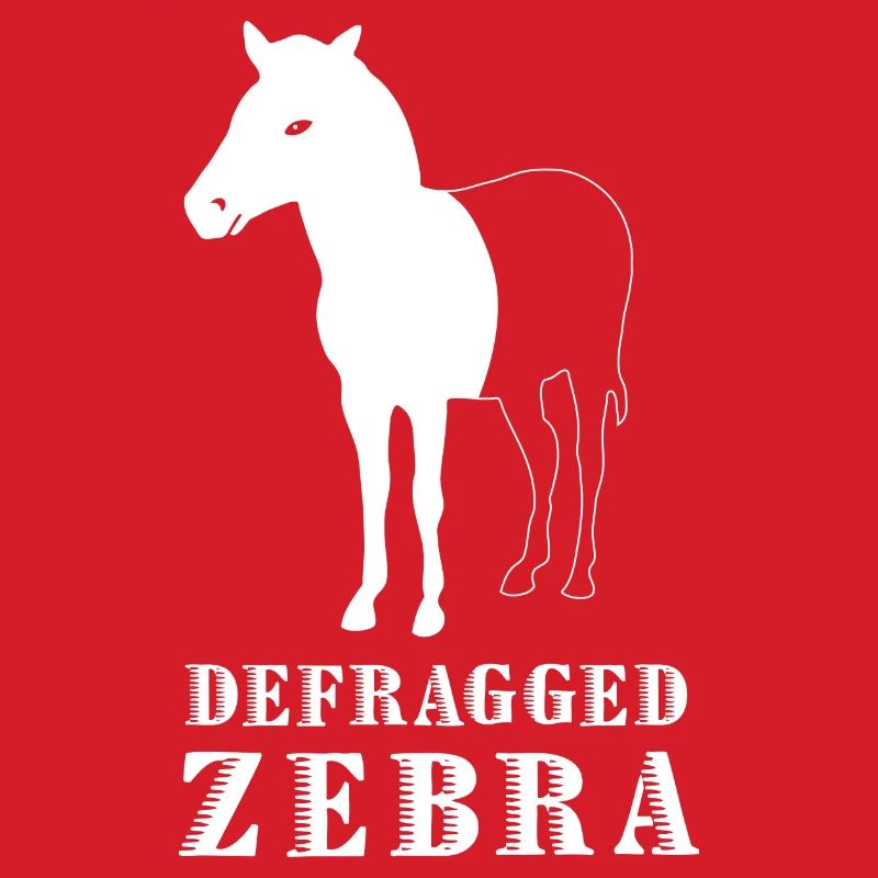 Defragged Zebra Informatiker Admin Geek Geschenk