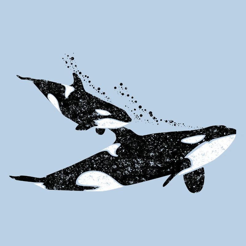 Orque baleine avec bébé orque