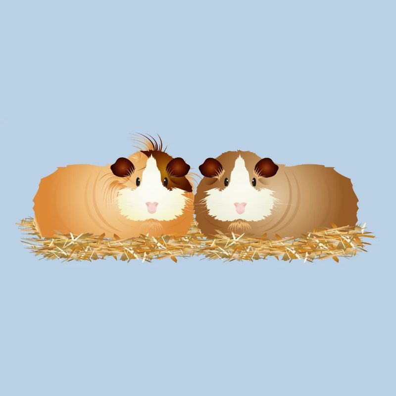 deux mignons cochons d’Inde ensemble en paille