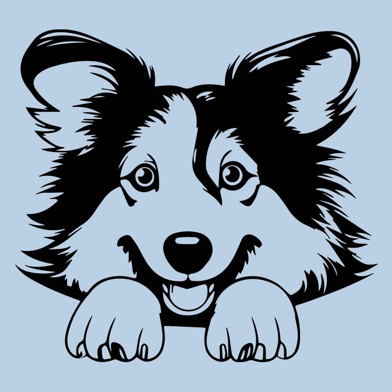 Collie