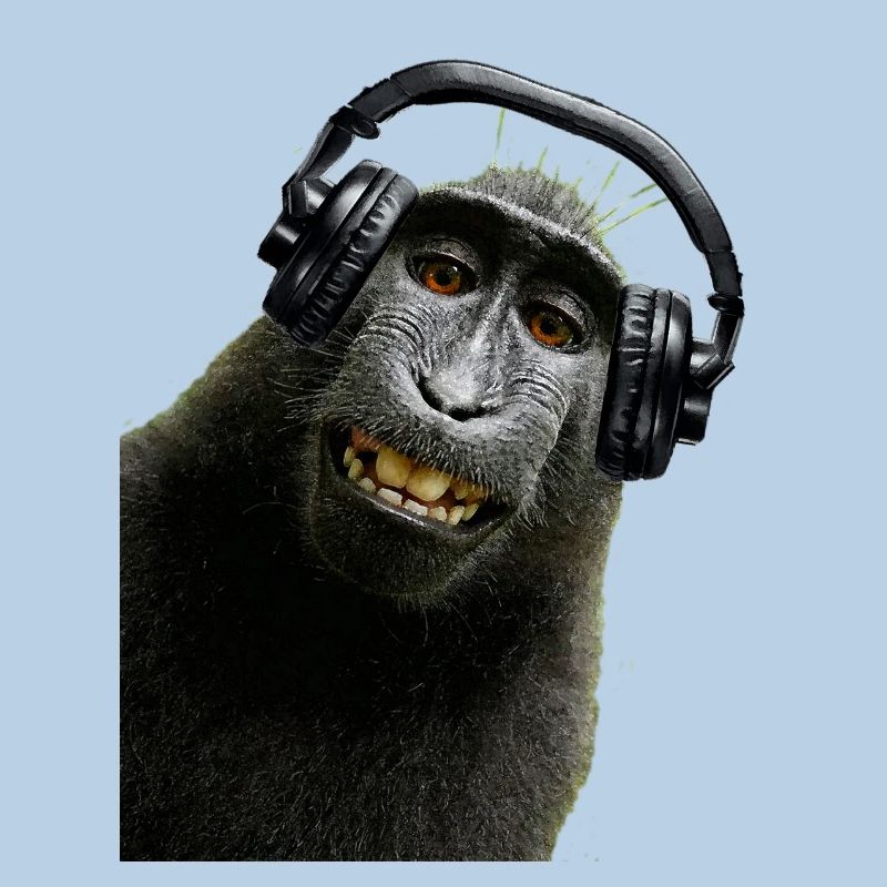 Hemd Monkey Music von Custom