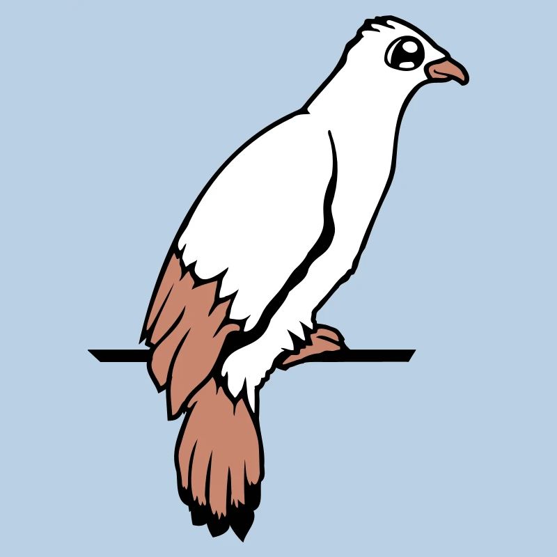 Bird Raven Dove Sitting Cable Hawk Eagle Birdie