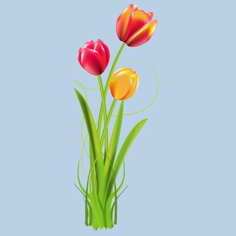 Three brightly coloured tulips as a spring bouquet