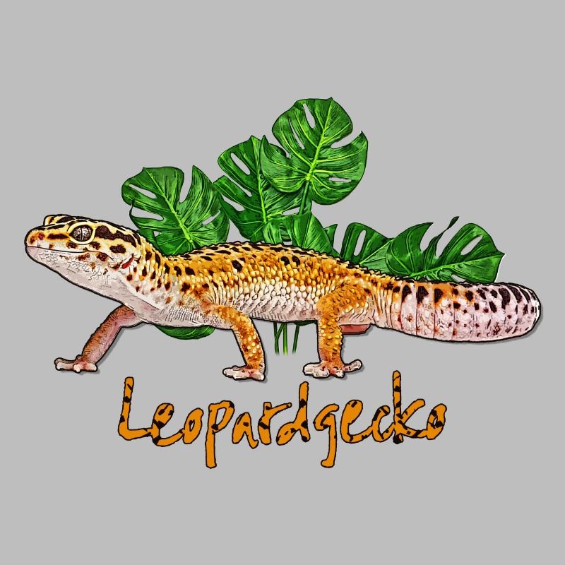 Leopard gecko