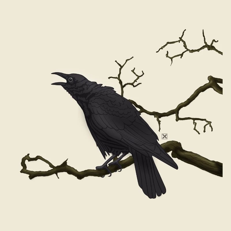 Corbeau noir