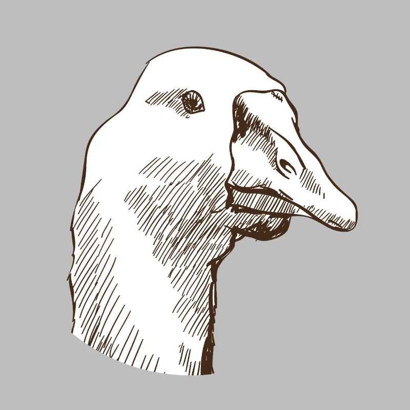 Goose